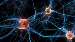 Illustration de neurones et de connexions cérébrales représentant les mécanismes neurologiques impliqués dans les émotions.
